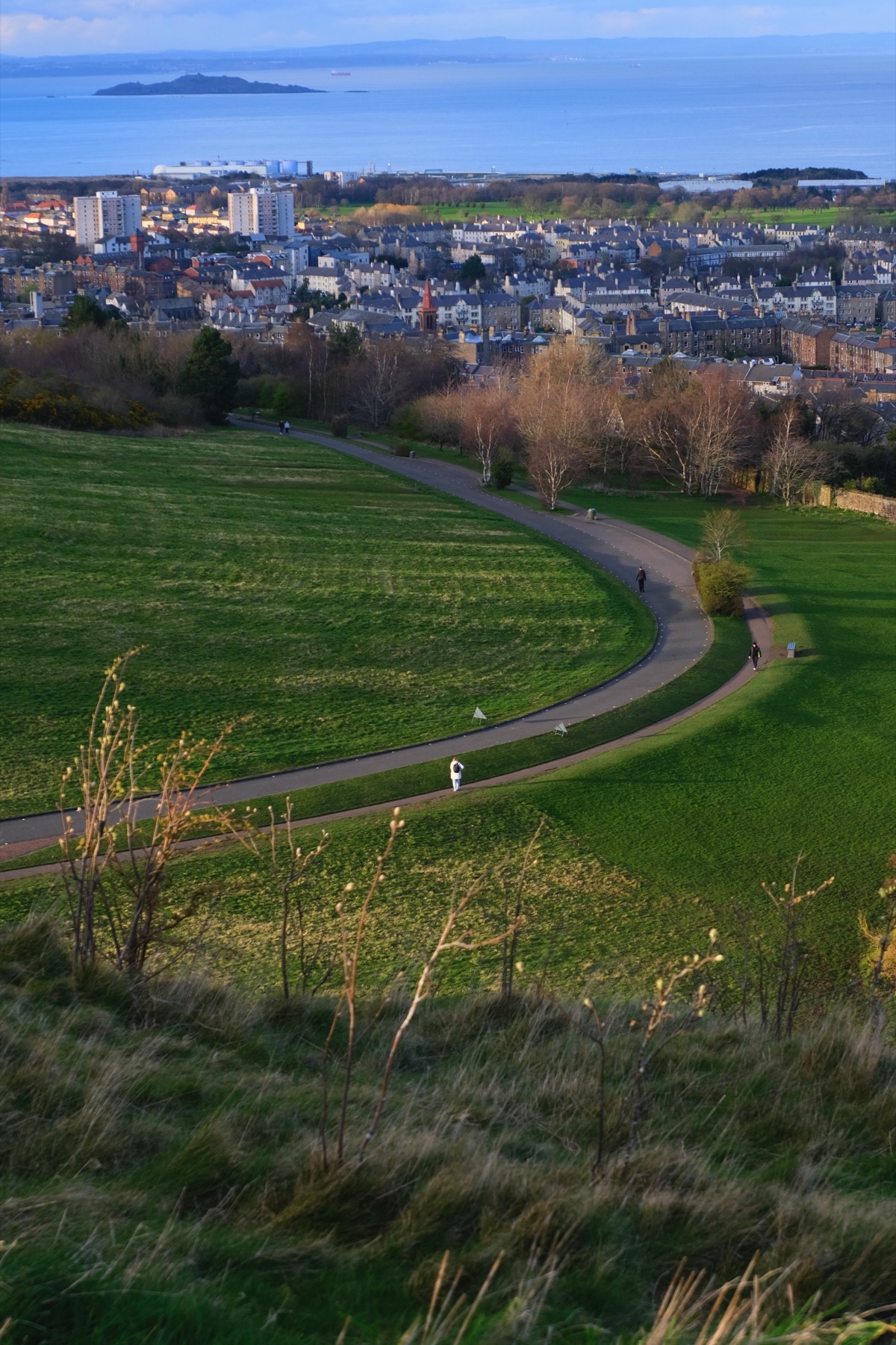 Edinburgh landscape viewed from a hill